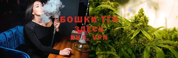 дурь Алзамай