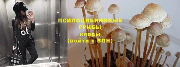 дурь Алзамай