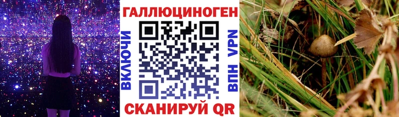 Галлюциногенные грибы мицелий  Боровск 